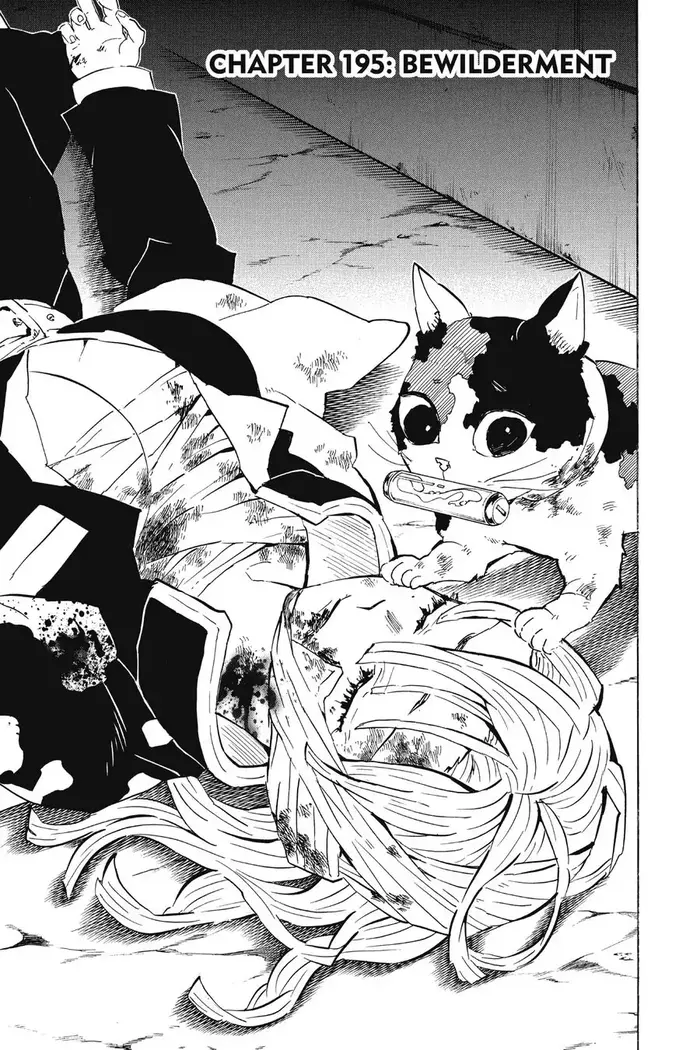 Demon Slayer Chapter 195 image 01_optimized